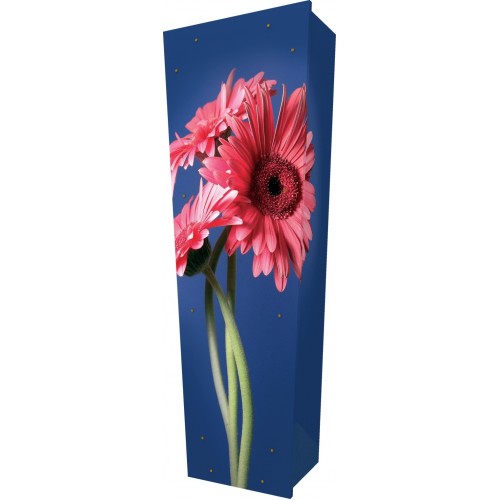 Gerbera in Bloom - Personalised Picture Coffin with Customised Design.